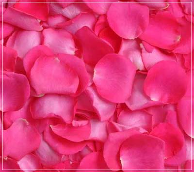 Rose Petals