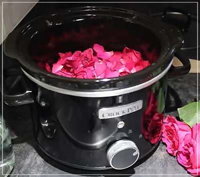 Cook the Petals in a Slow Cooker
